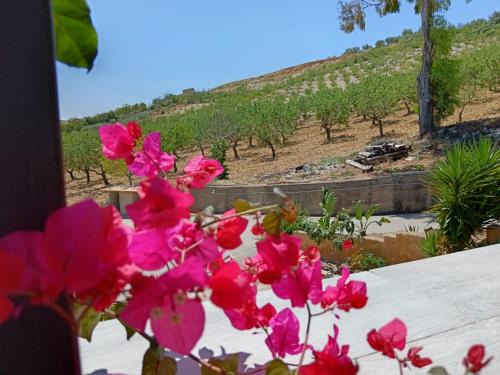 Naro Apartment | Villa dei Mandorli