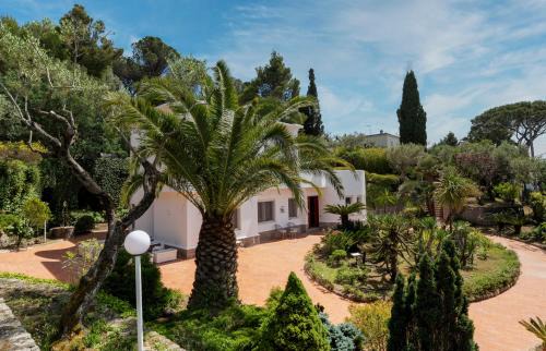 Anacapri Bed & Breakfast | Villa Donna Carolina Capri