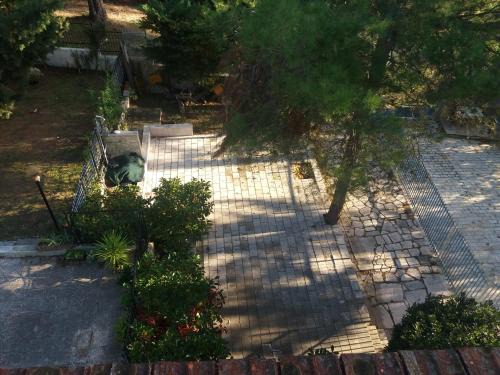 Vico del Gargano House | Villa Le Rose