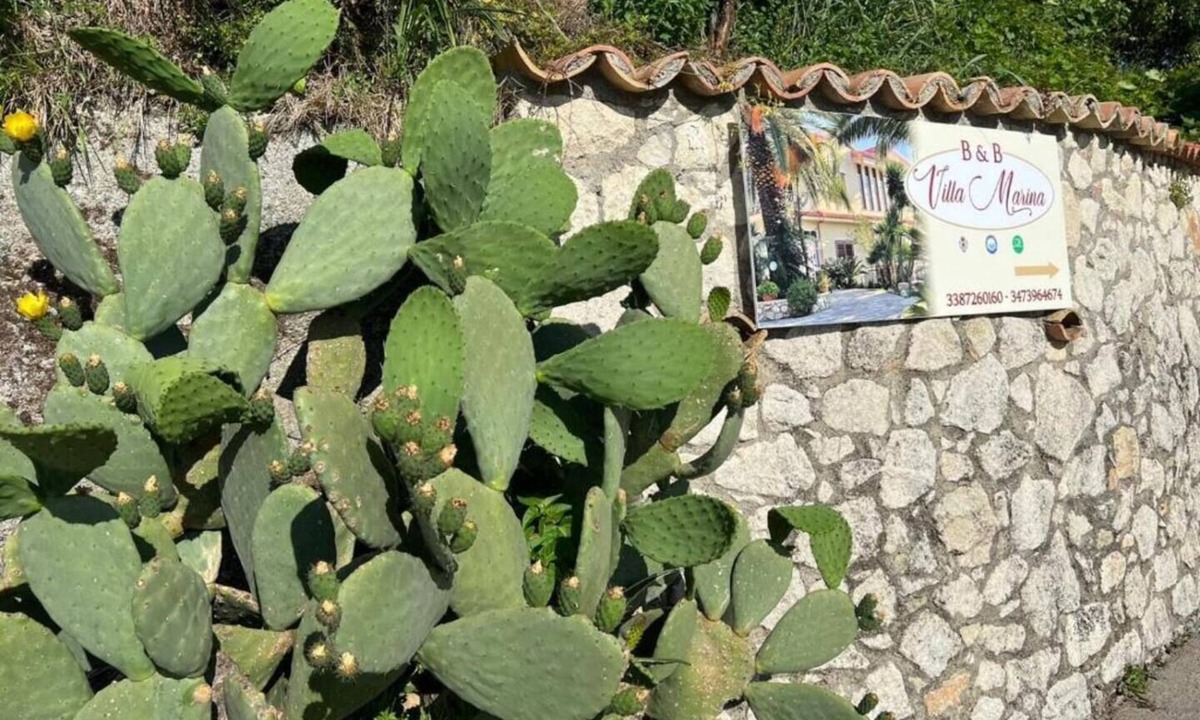 Cleto Bed & Breakfast | Villa Marina B&B 4
