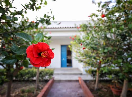 Cicirata House | Villa Marzia & Villa Carmela