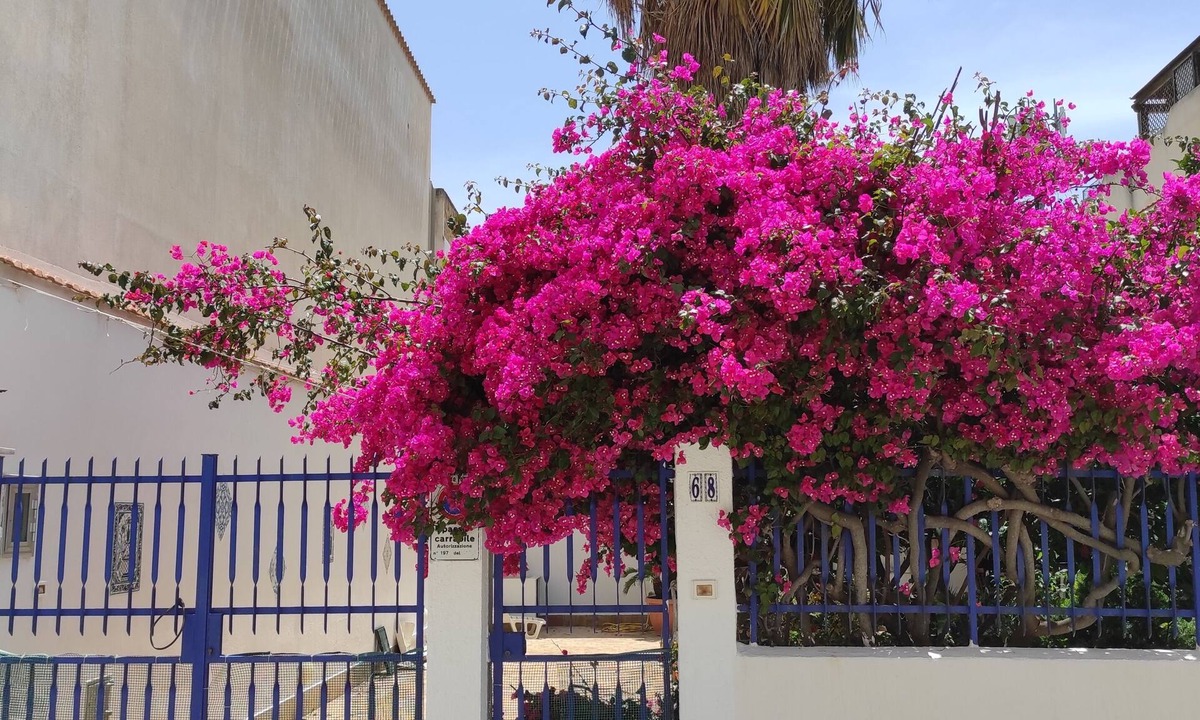 San Vito Lo Capo Villa | Villa near the beach with garden, private parking for families,groups & climbers