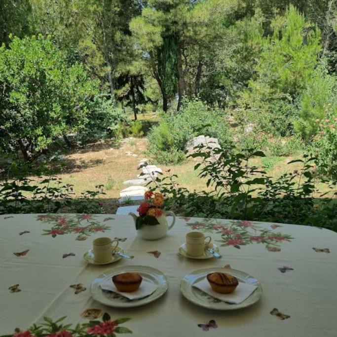 Botrugno Villa | Villa Petra