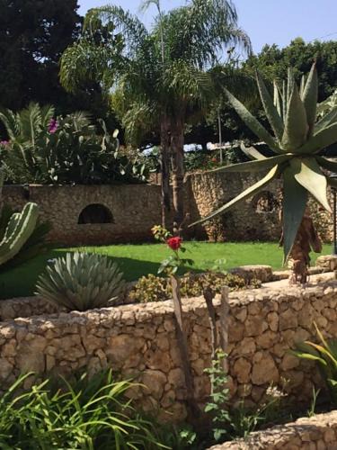 Santa Domenica Apartment | Villa Scalea