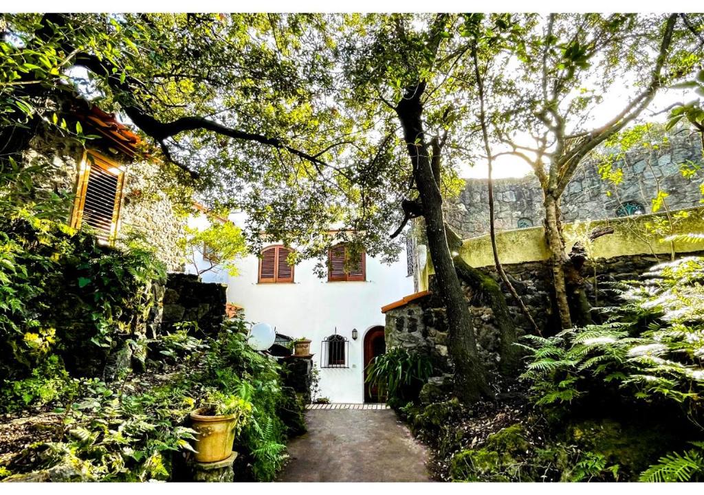 Ischia Porto Bed & Breakfast | Villa Talia Sweet Rooms B&B