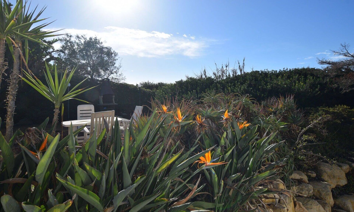 Punta Braccetto Villa | Wonderful villa for 7 guests with A/C, WIFI, TV, patio, pets allowed and panoramic view