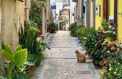 Lipari Historic Centre Apartment | 55 Via Roma. Apartment in the historic center, just a stone's throw from the sea. Up to 8 people.