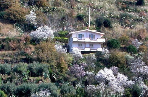 Coccorino Apartment | 65 m² Apartment ∙ 2 bedrooms ∙ 4 guests