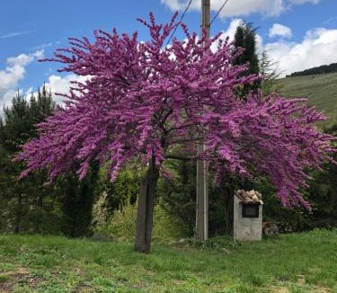 Santo Stefano Quisquina House | Agriturismo Serra Moneta