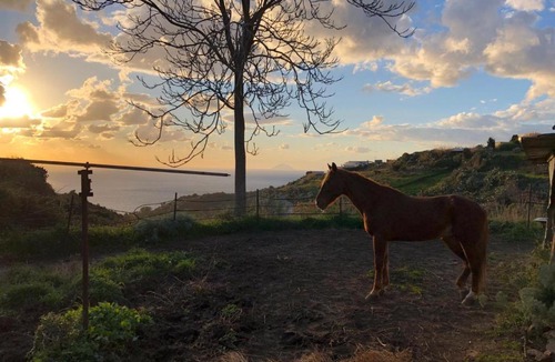 Pianoconte House | agriturismo u zu peppino