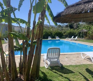 Santa Flavia Bed & Breakfast | Agriturismo Villa Cefalà
