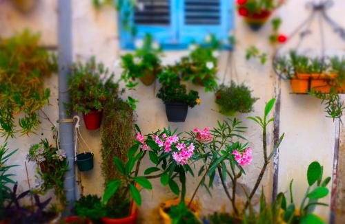 Alcamo Historic Center Apartment | AlCasart