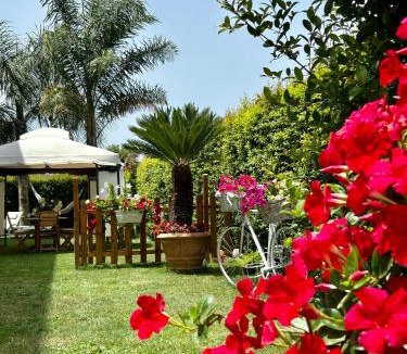 Zambrone Apartment | Alto Giardino Country House