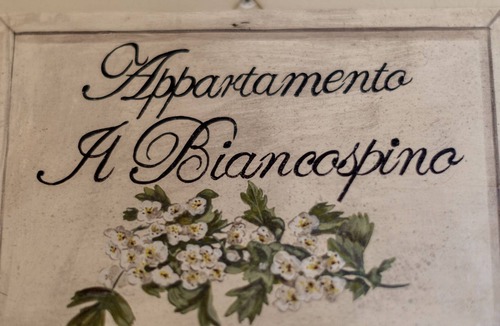 Abbadia San Salvatore Apartment | Apartment in the center of Abbadia San Salvatore, 6 Km Bagni San Filippo