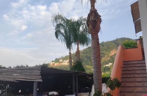 Ischia Ponte Apartment | Apartment '3 Vista Giardino' with Shared Garden, Wi-Fi and Air Conditioning