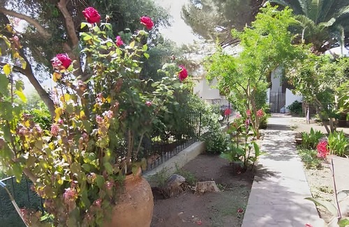 Lingua Apartment | Apartment 'Quadara - Il Nido' with Sea View, Private Terrace and Shared Garden