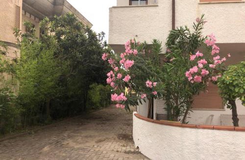 Guardia Piemontese Marina Apartment | Appartamenti Marina Blu