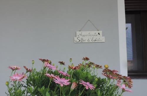 Coccorino Apartment | Appartamento Soffio d'Estate