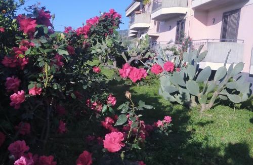 Mascali Villa | aranceto dell'Etna
