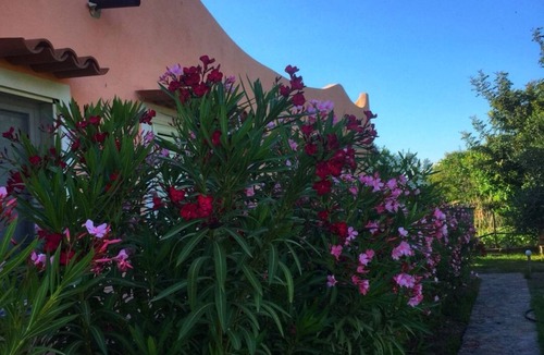 Diamante House | ARISTEA HOLIDAY HOUSE 5 CIRELLA - DIAMOND NEAR THE SEA