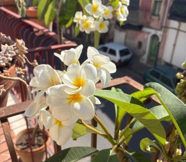 Calatabiano Bed & Breakfast | B&B Domus Candida