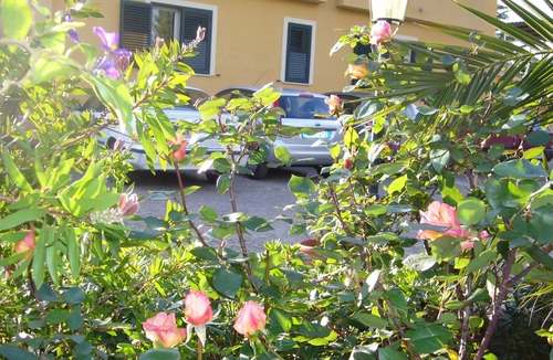 Caltanissetta Villa | B&B S. ELIA GREEN room: ENCHANTING VILLA IMMERSED IN THE HISTORICAL DUBINI PARK