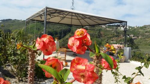 Lipari Bed & Breakfast | B&B Villa Maristella
