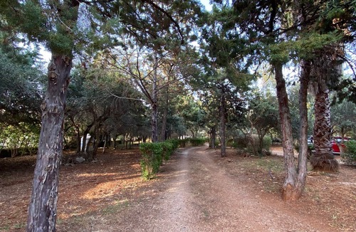 Carini Villa | Baglio Cuttaia - Apartment for families.