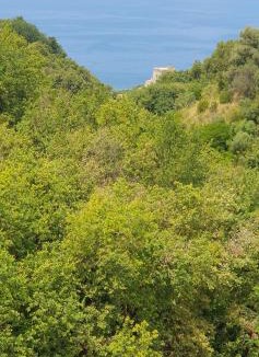 San Nicola Arcella Bed & Breakfast | BB Vista Mare - sea view