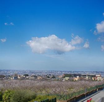Pollena Trocchia Bed & Breakfast | Bed and Breakfast Sommavesuvio