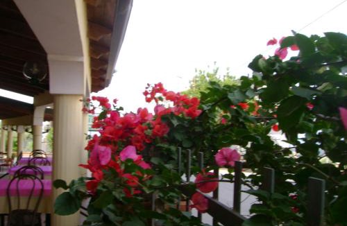 Zungri Bed & Breakfast | Belvedere Residence