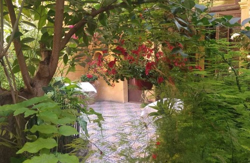 Albergheria Apartment | Blackberry Head Arab Norman Itinerary in the heart of Palermo!