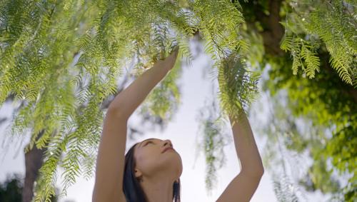 Forio Hotel | Botania Relais & Spa - The Leading Hotels of the World