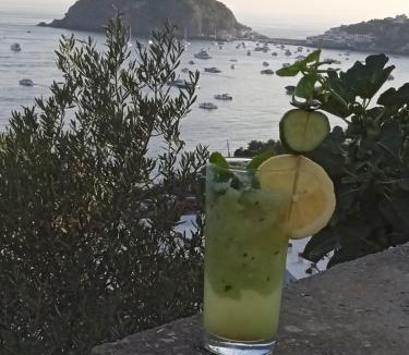 Barano d'Ischia Hotel | Casa Antonio