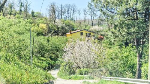 Aiello del Sabato Apartment | Casa Bosco 19