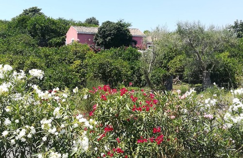 Archi House | Casa della Camelia-the quintessential country getaway close to all attractions