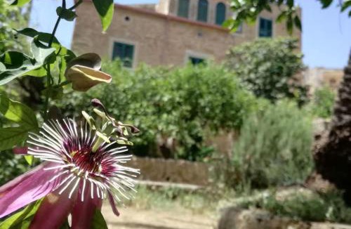 Pietraperzia House | Casa di nonna Maria