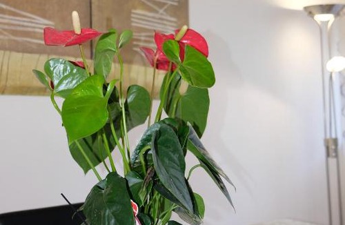 Vaccarizzo Apartment | Casa Gaetano