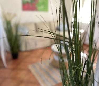 Punta Braccetto House | Casa Sunshine 2.0 - Vacanze al mare