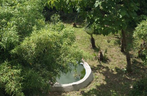 Montefalcione Apartment | Casa Vacanze L'Agrifoglio
