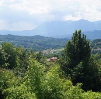 Montefalcione Apartment | Casa Vacanze L'Agrifoglio