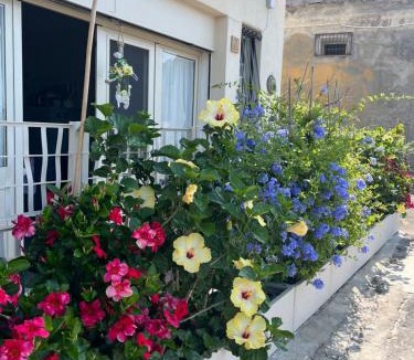 Forza d'Agro Apartment | CasAnima vista incantevole vicino Taormina