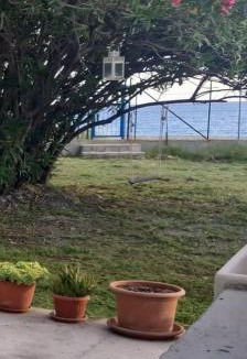 Cetraro Villa | Casetta 28 passi dal mare
