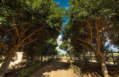 Campofelice di Roccella Apartment | Casette di Calzata