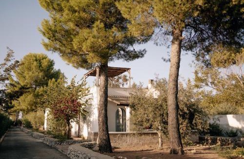 Sava House | Casette Masseria La Camardia