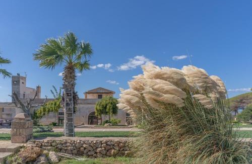 La Strea Bed & Breakfast | Casina Bellanova