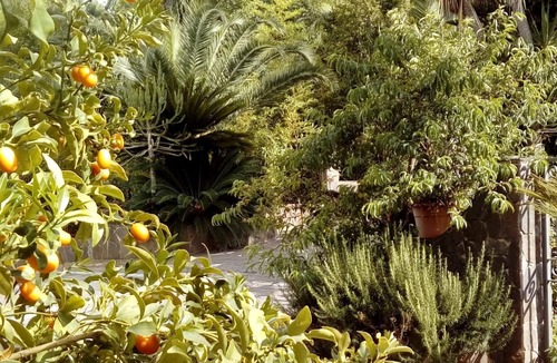 Gasponi House | Casita GioJa a2km from TROPEA