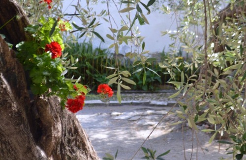 Diano San Pietro Apartment | Charmantes Appartment in Diano San Pietro by Interhome
