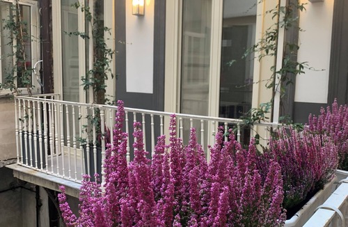 Quartieri Spagnoli Apartment | Charming 2-beDROOMS apartment with AC in Napoli center in spanish quarter