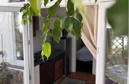 Lacco Ameno Apartment | Cozy apartment 5 minutes from downtown and the sea